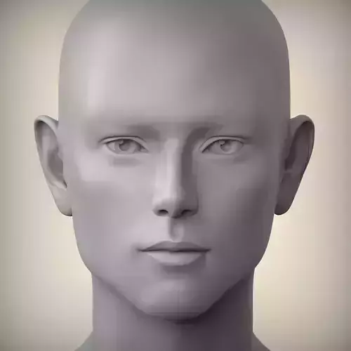 55 head bjd doll realistic hea lips nose eyes custom