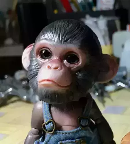 Chimpanzee BJD