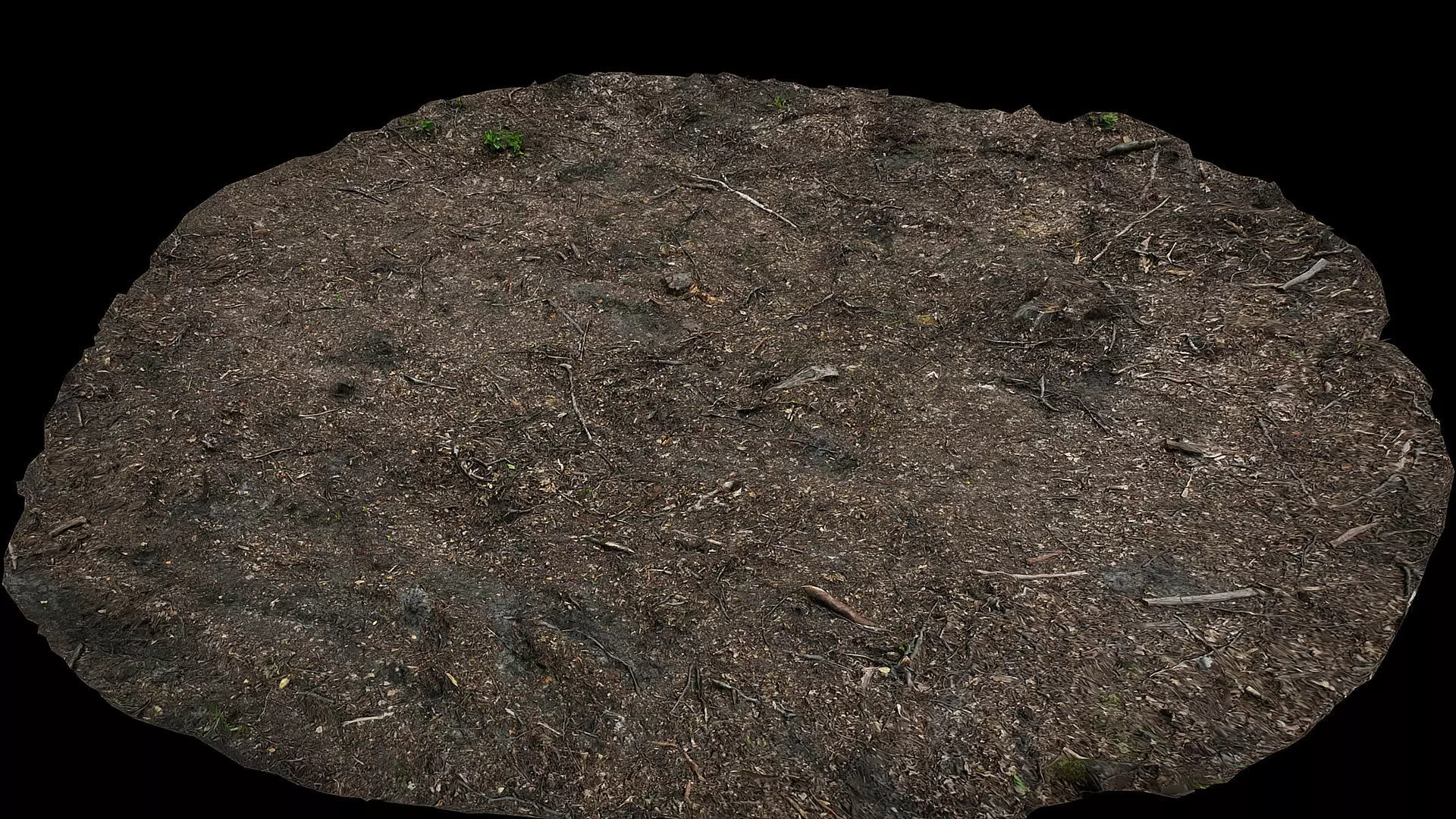 forest ground burned field photogrammetry Low-poly 3D model