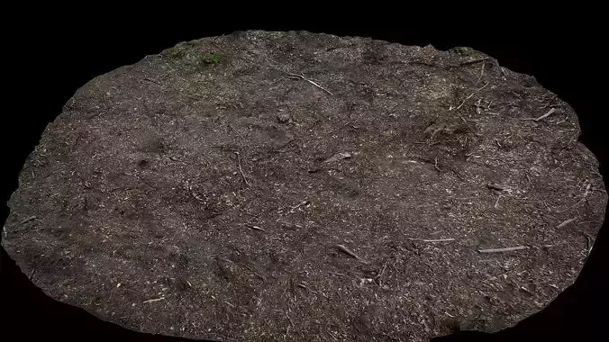 forest ground burned field photogrammetry 