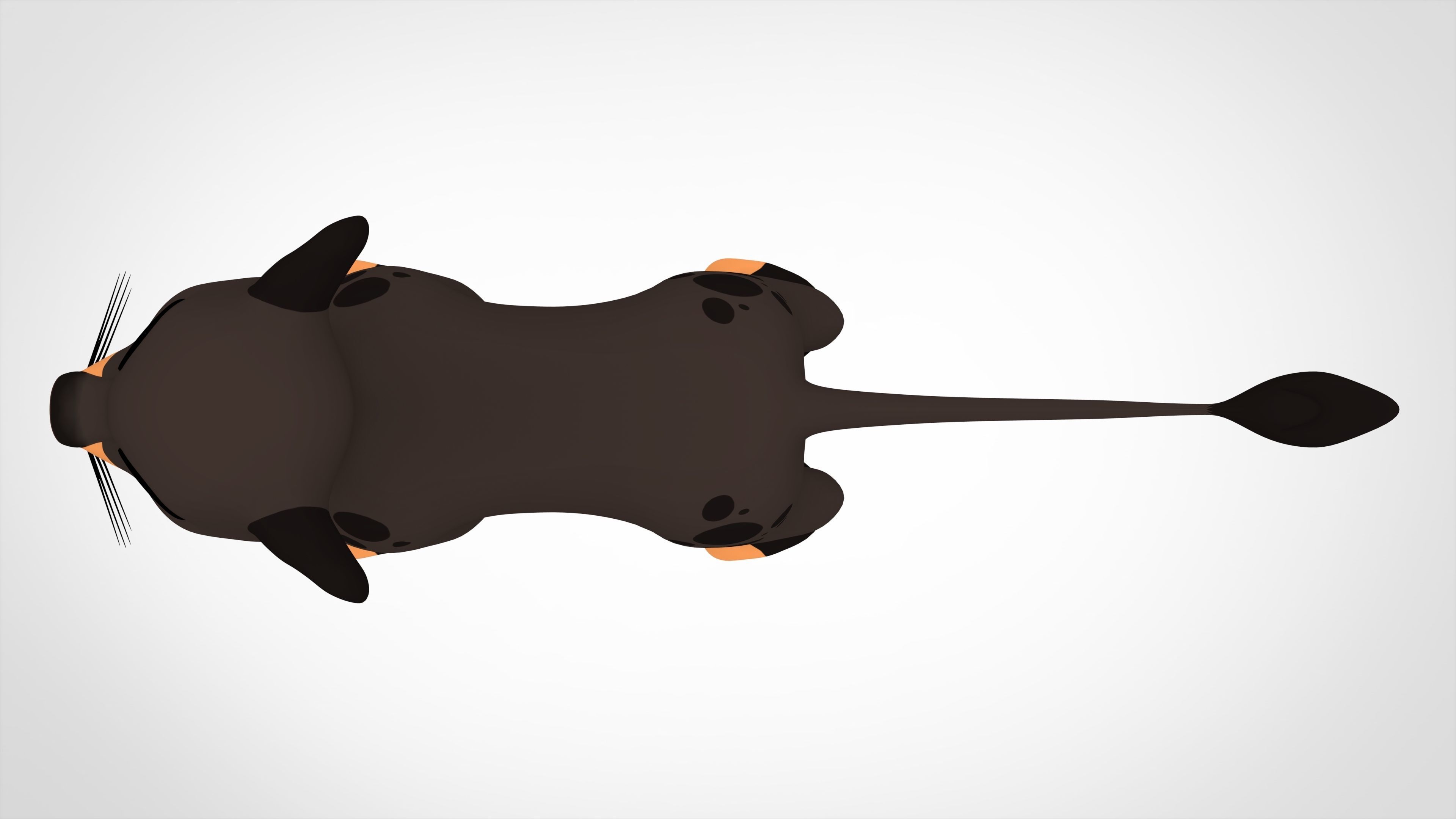 Jioni Cub 3D model_4
