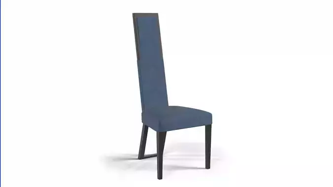 Body Dining Chair