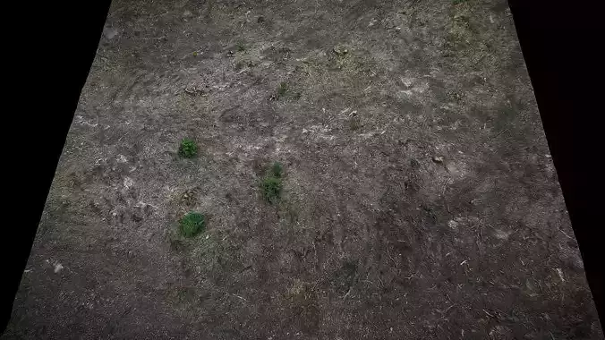 forest burned ground square area photogrammetry 