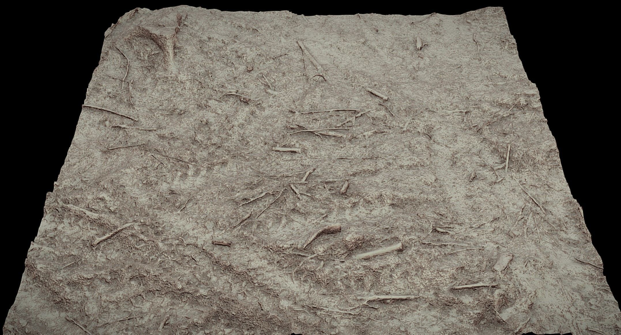 forest burned ground tree debris photogrammetry Low-poly 3D model_3