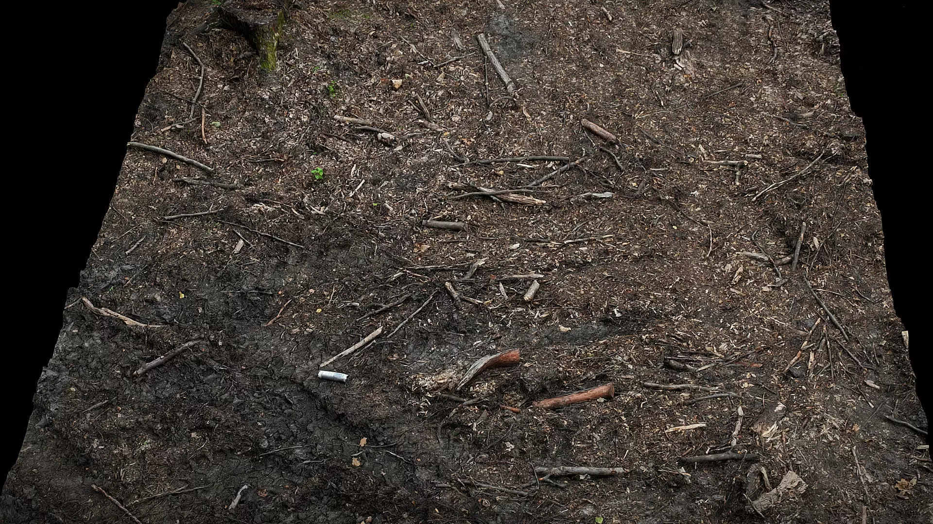 forest burned ground tree debris photogrammetry Low-poly 3D model_0