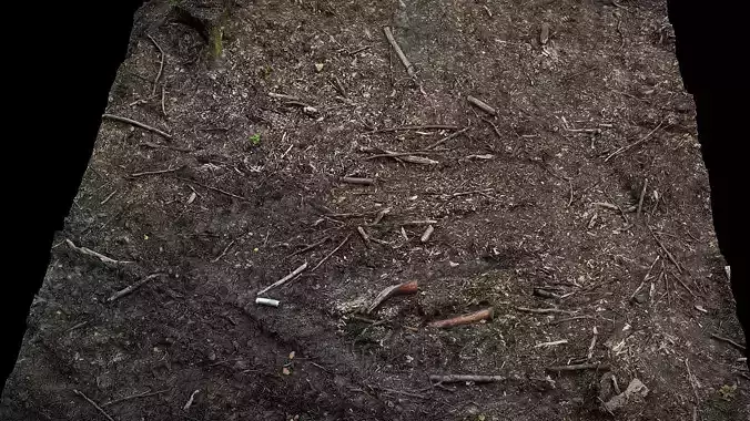 forest burned ground tree debris photogrammetry