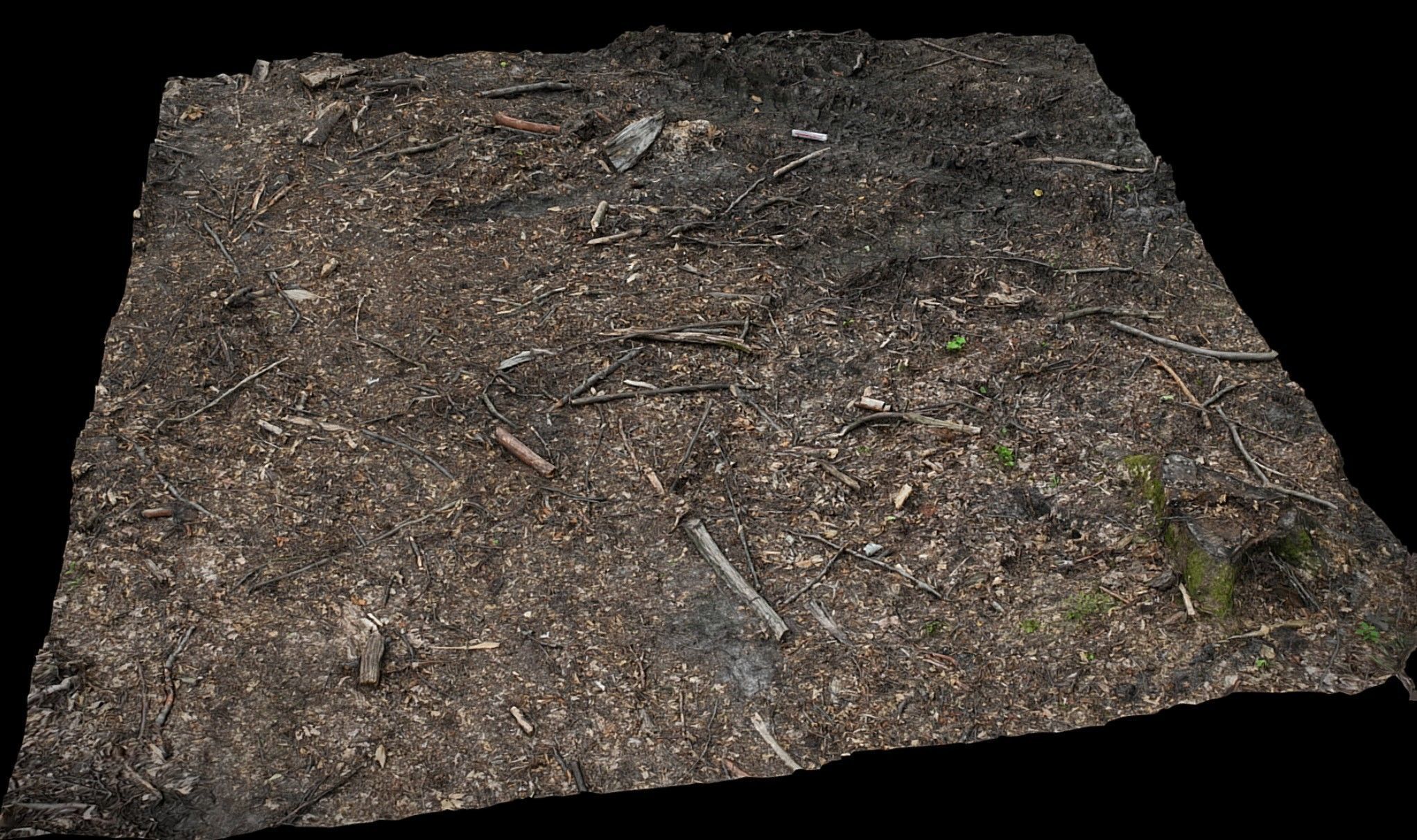 forest burned ground tree debris photogrammetry Low-poly 3D model_2