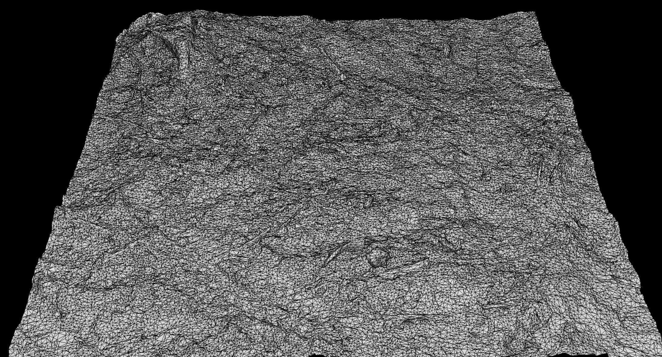 forest burned ground tree debris photogrammetry Low-poly 3D model_4