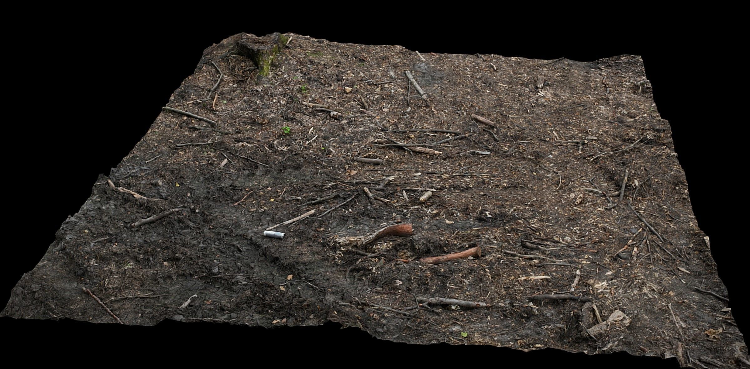 forest burned ground tree debris photogrammetry Low-poly 3D model_1