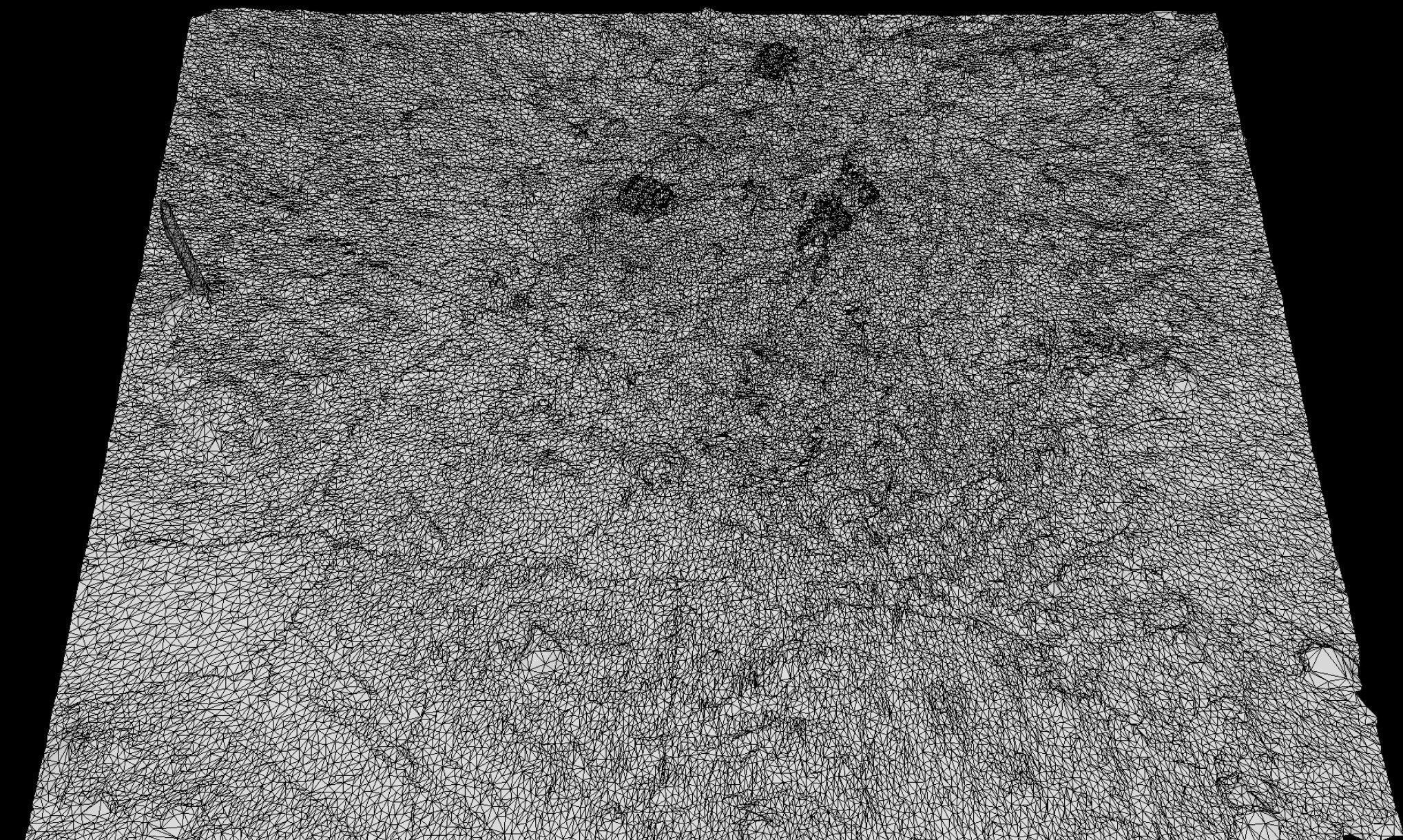 forest ground cutted trees photogrammetry 3D model_3