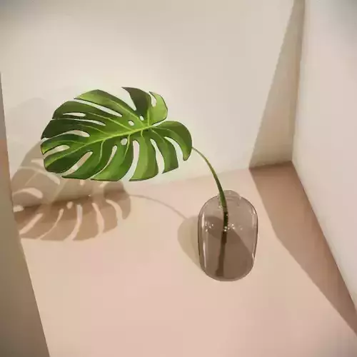 Monstera in glass vase
