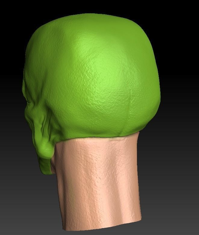 THE MASK -1994 JIM CARREY 3D print model_3