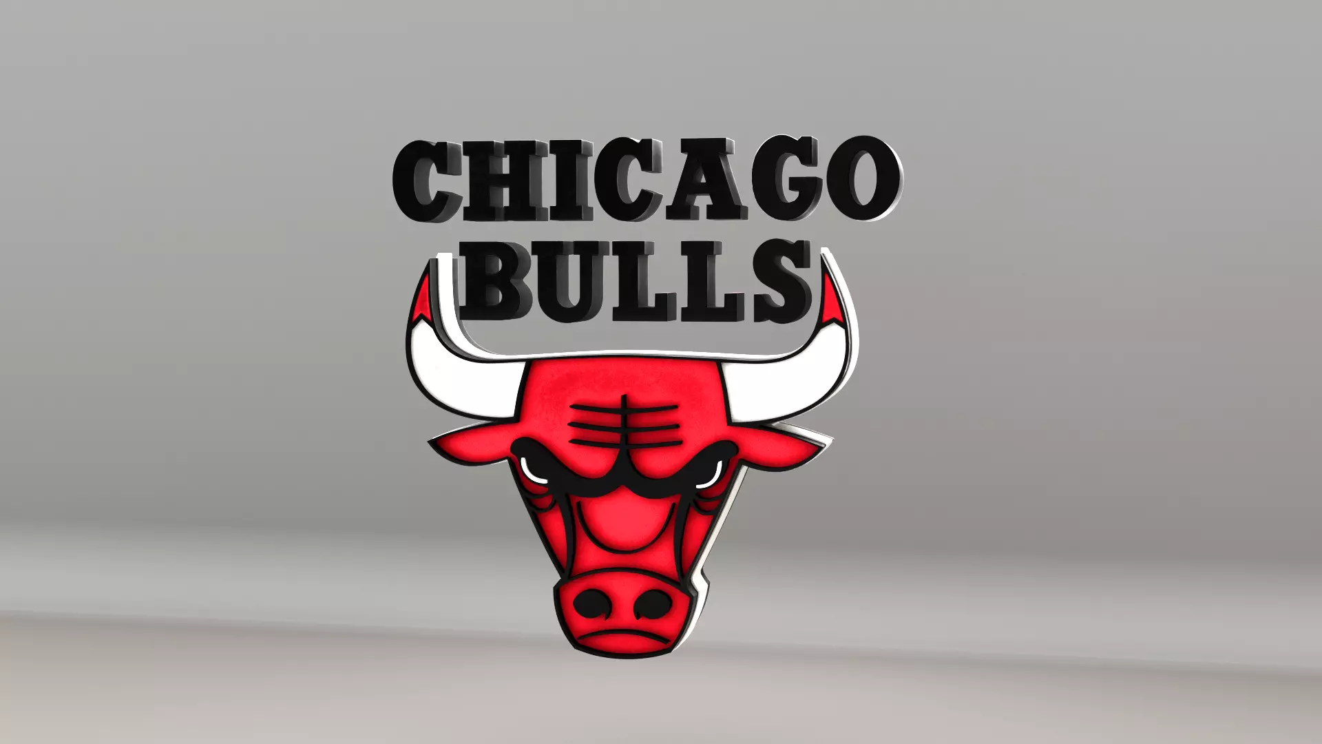 NBA Chicago Bulls Logo 3D model_0