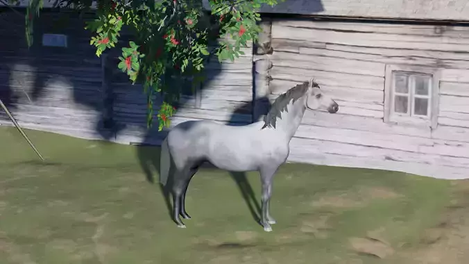 Realistic Gray Horse 