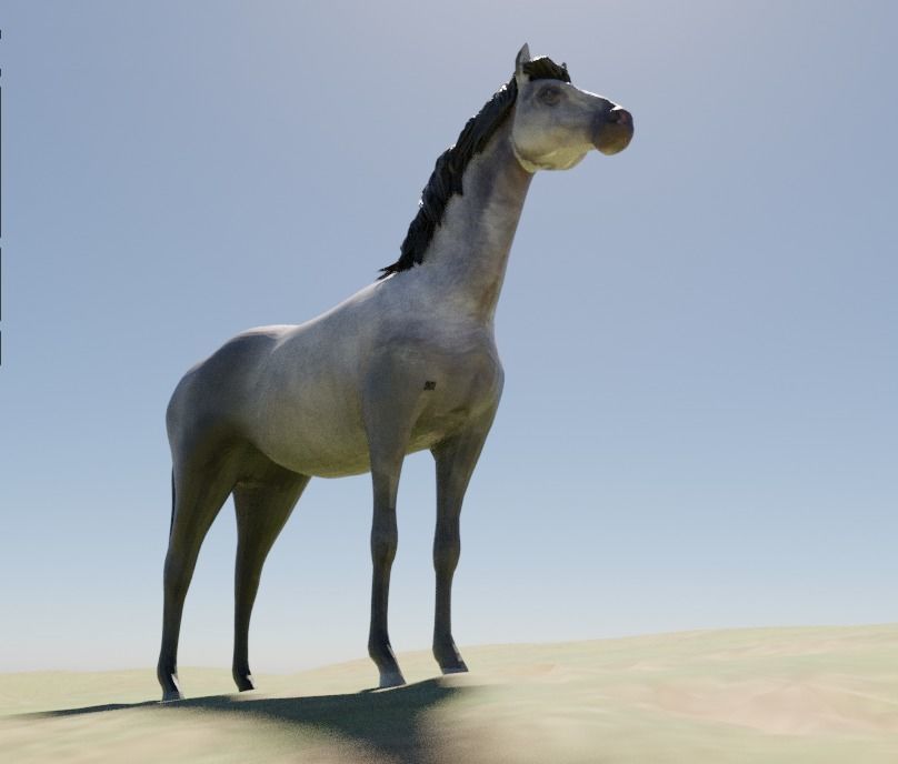 Realistic Gray Horse Low-poly 3D model_9