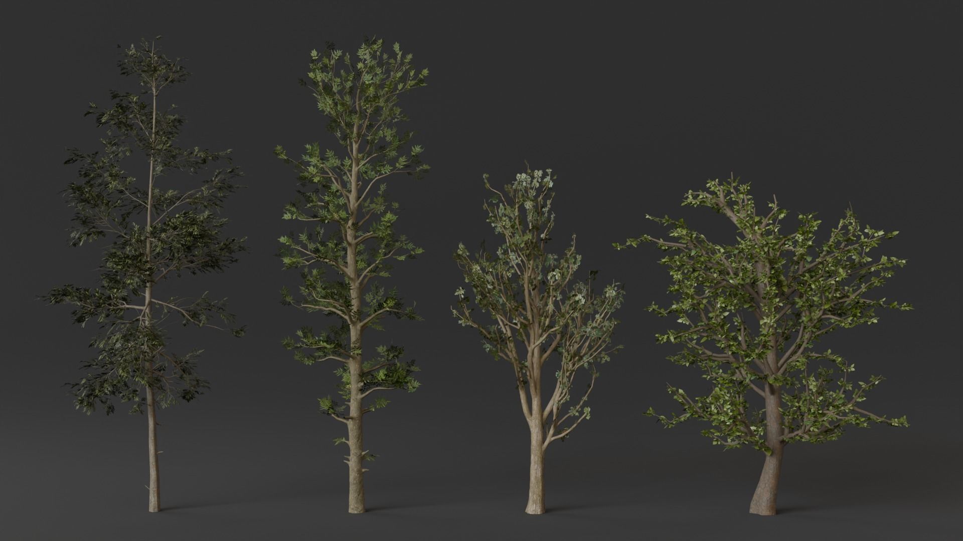 forest tree Low-poly 3D model_5