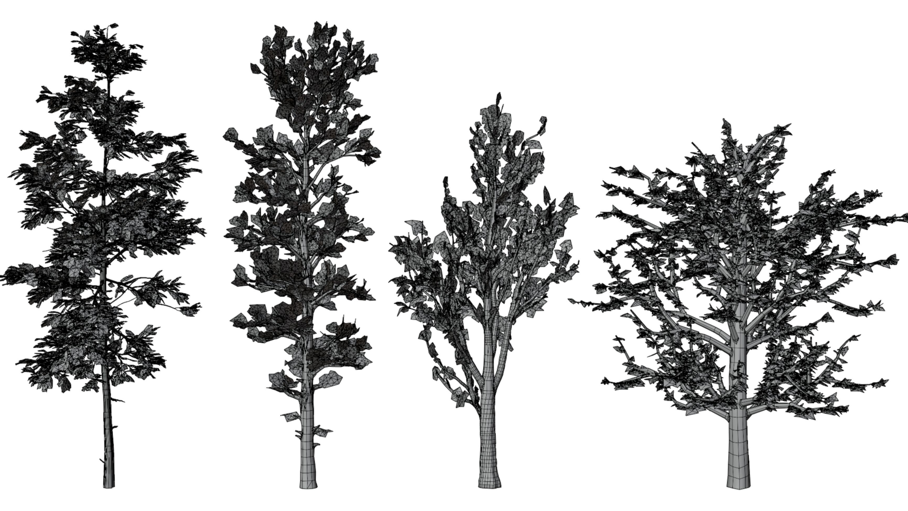 forest tree Low-poly 3D model_4