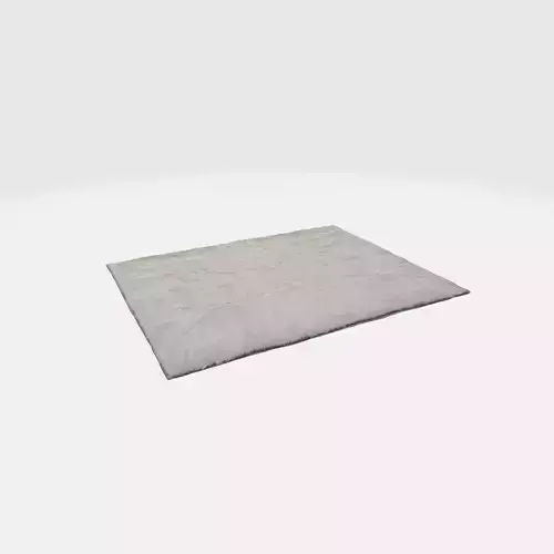 A gray rectangular rug