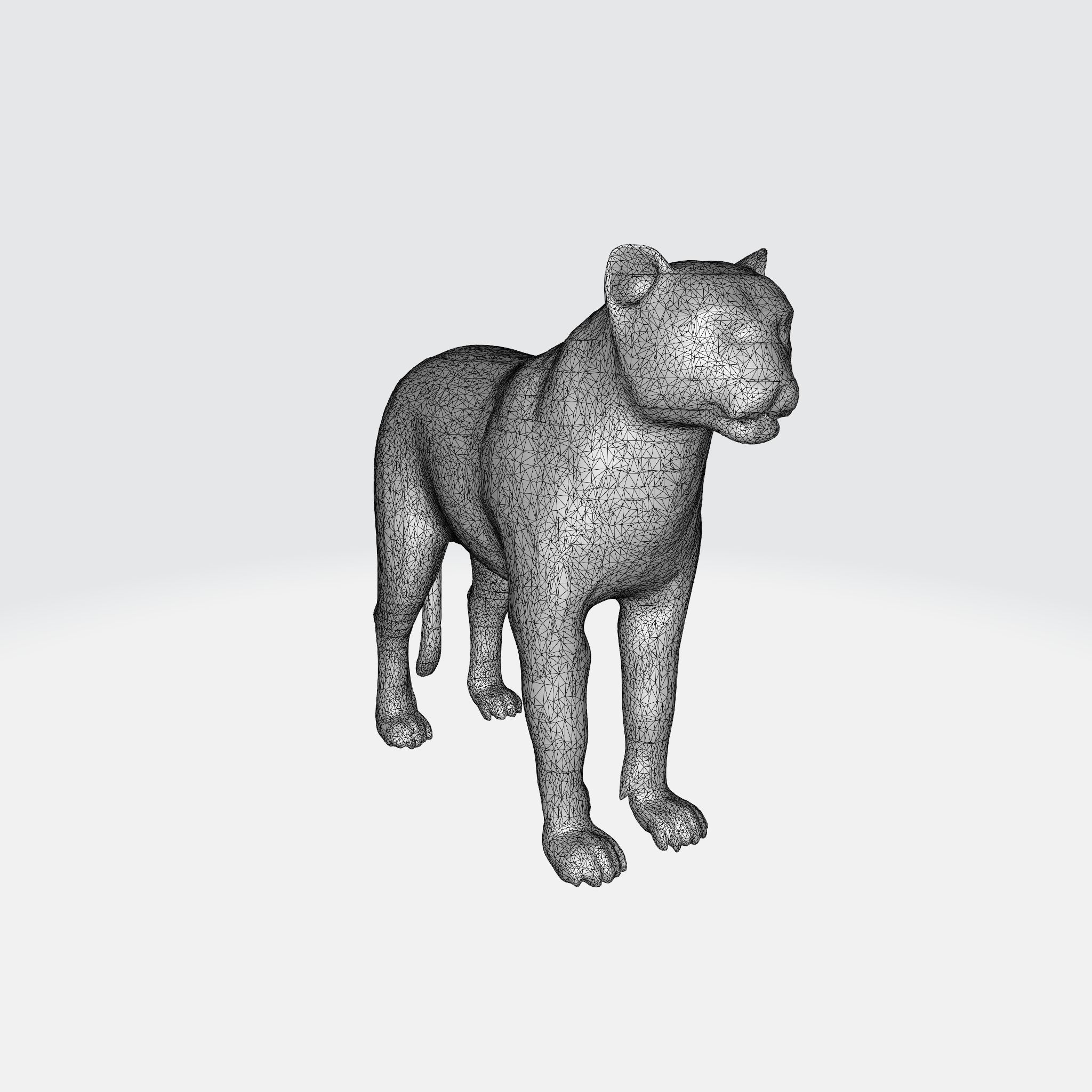 A large adult tiger 3D model_6