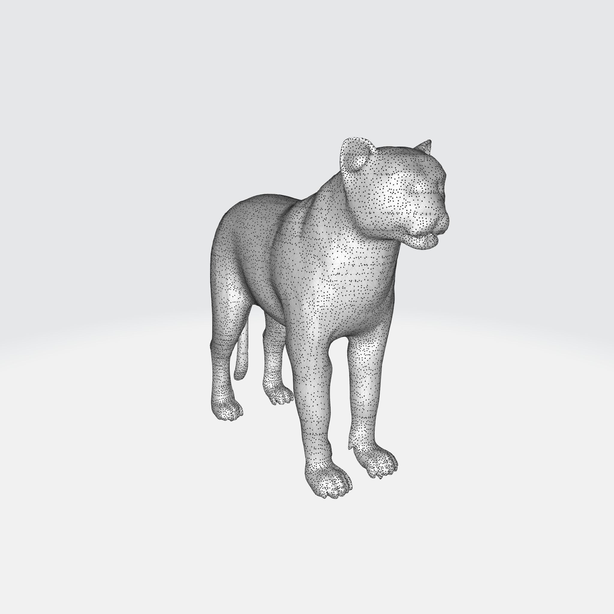 A large adult tiger 3D model_7