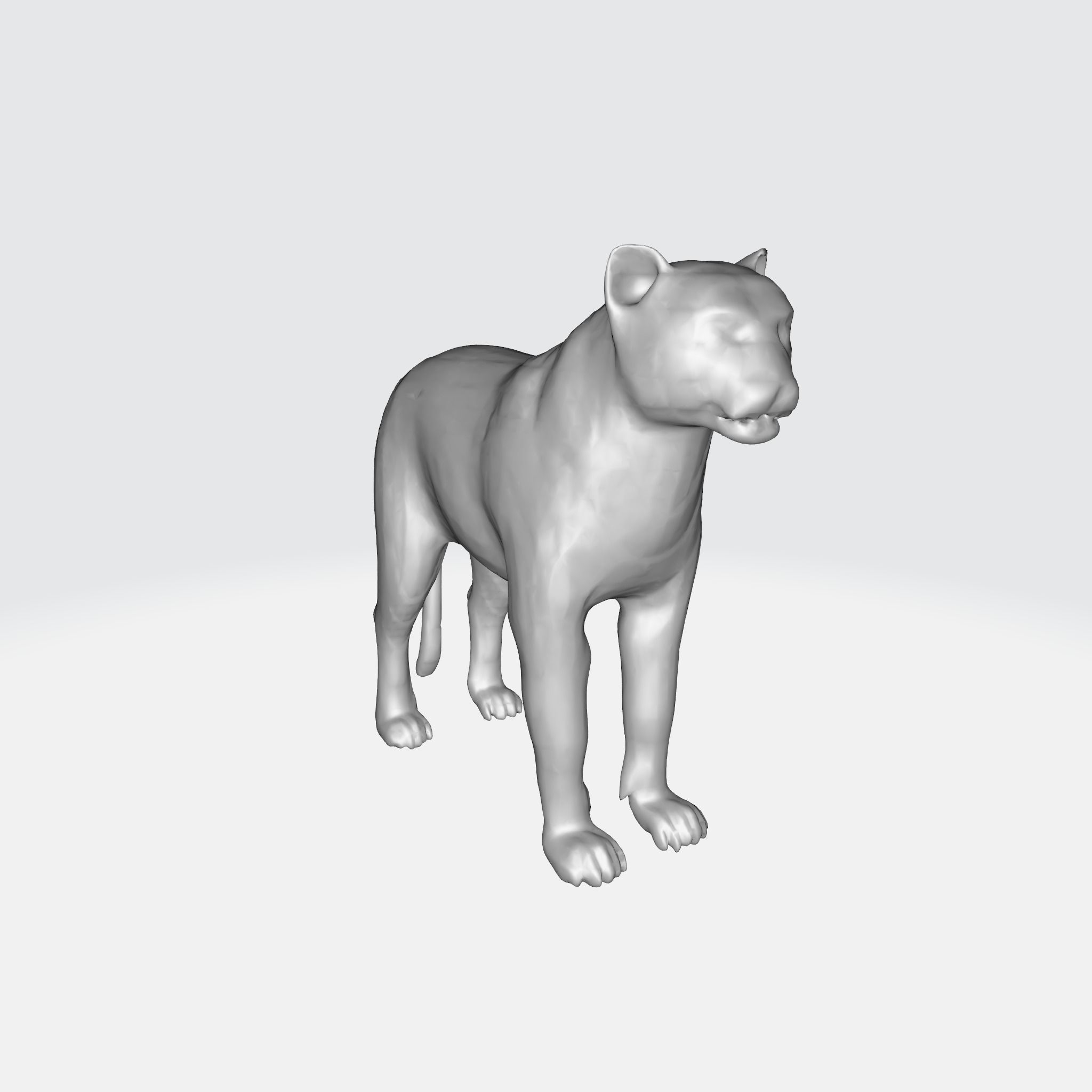 A large adult tiger 3D model_5