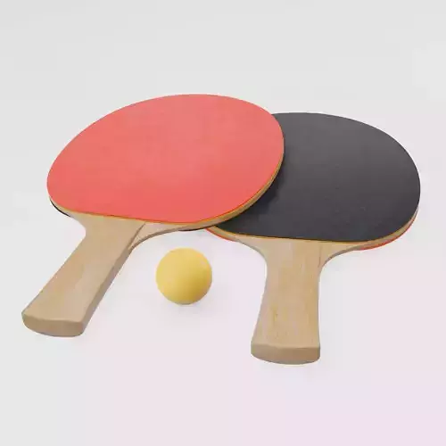 Ping Pong Paddles And Ball