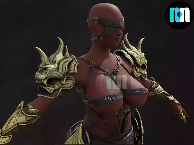 Set Royal Golden Armor Lion Asset Part