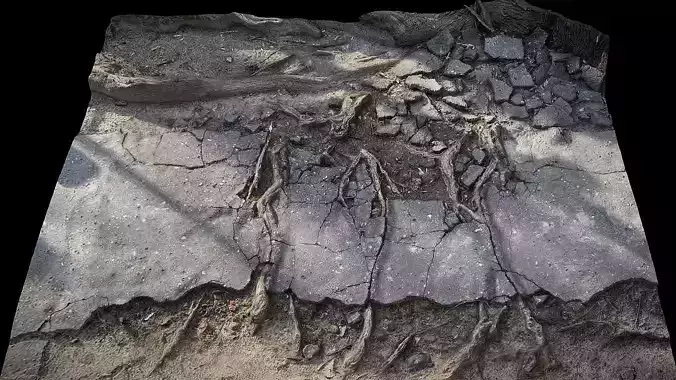 tree roots road asphalt debris part1 photogrammetry