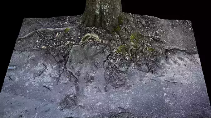 tree roots road asphalt debris part2 photogrammetry