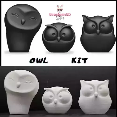 Kit Owl