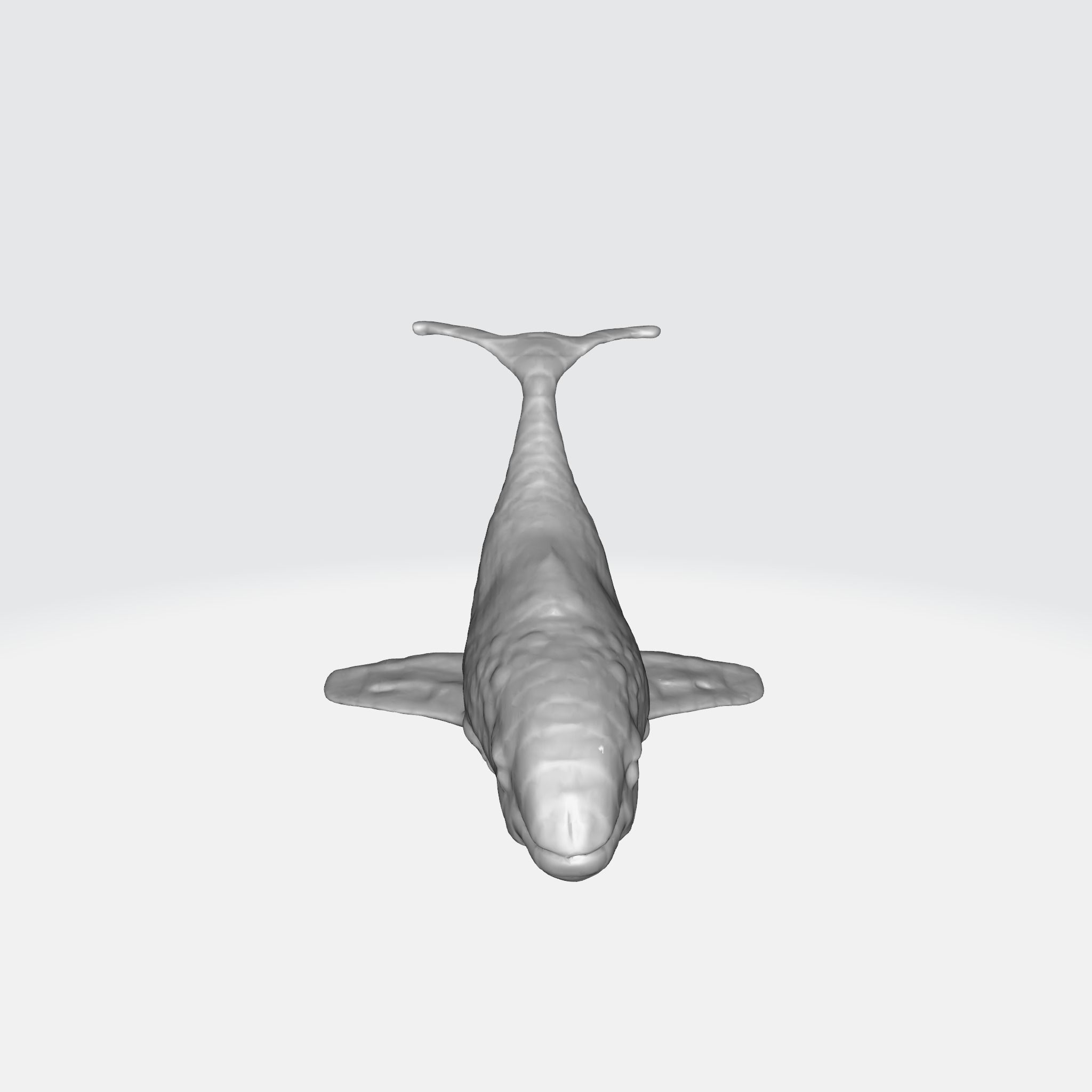 A whale figurine 3D model_5