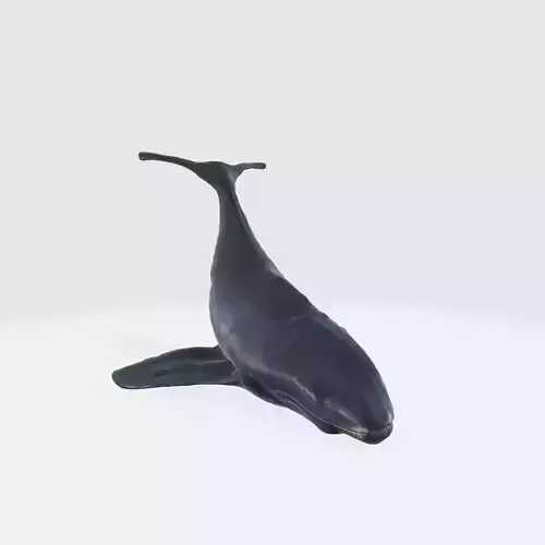 A whale figurine