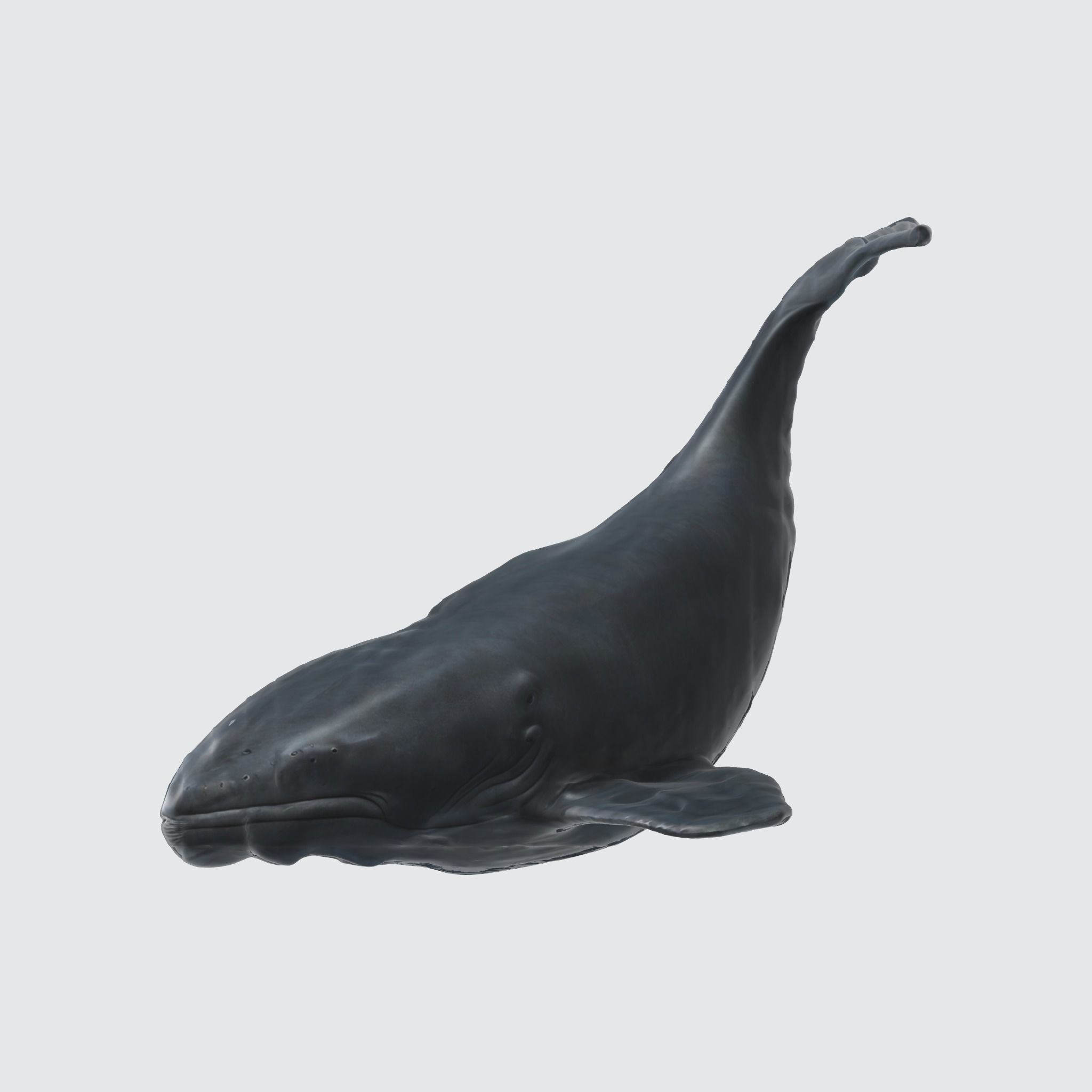 A whale figurine 3D model_2