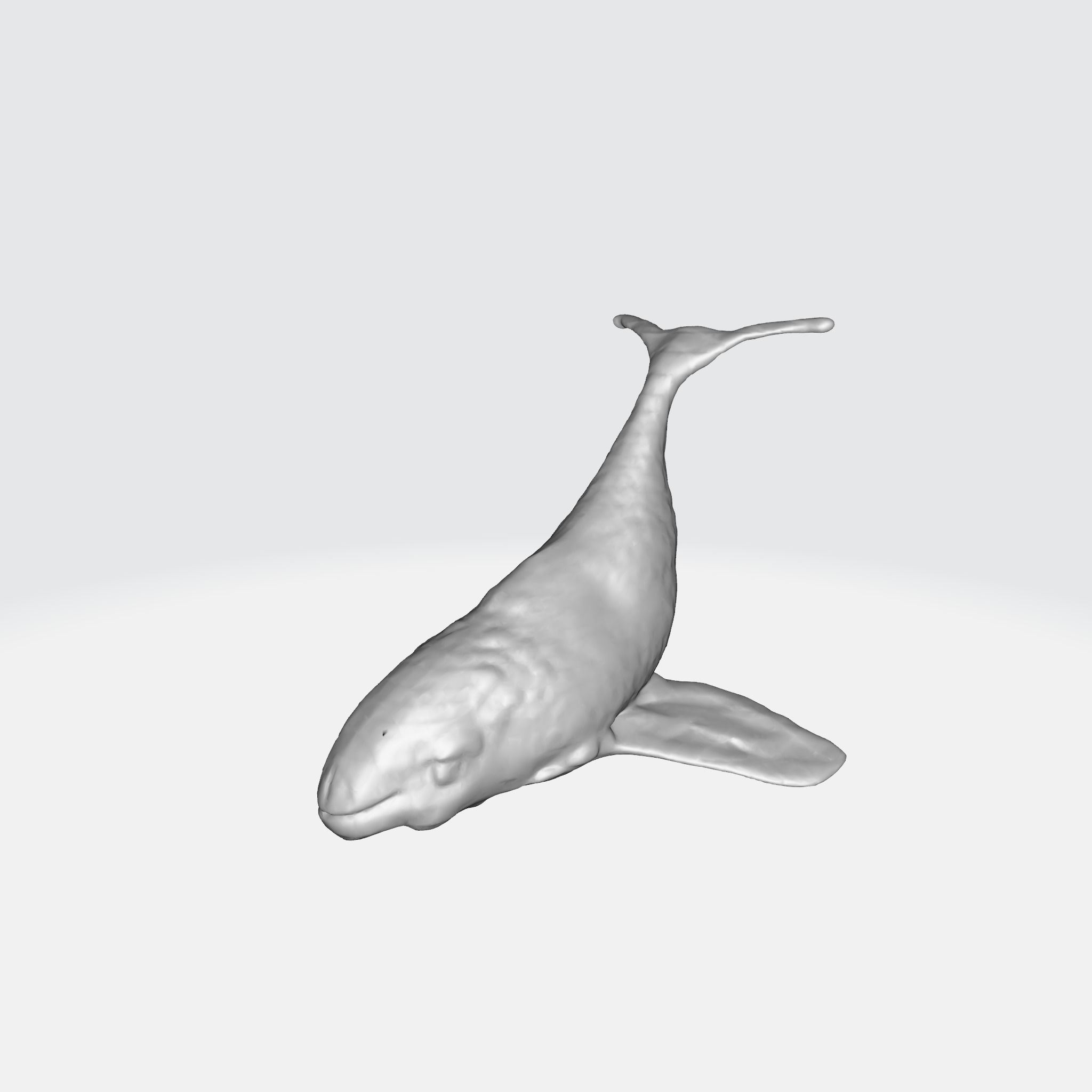A whale figurine 3D model_6