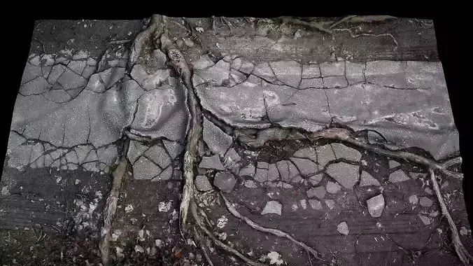 tree roots road asphalt debris part4 photogrammetry