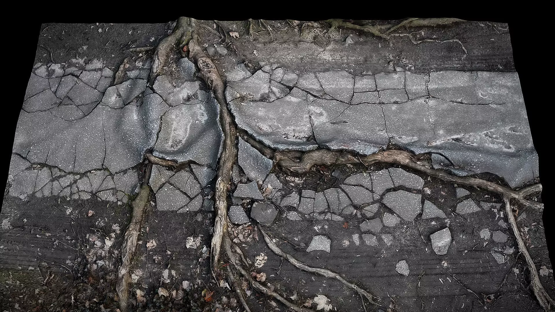 tree roots road asphalt debris part4 photogrammetry Low-poly 3D model_0