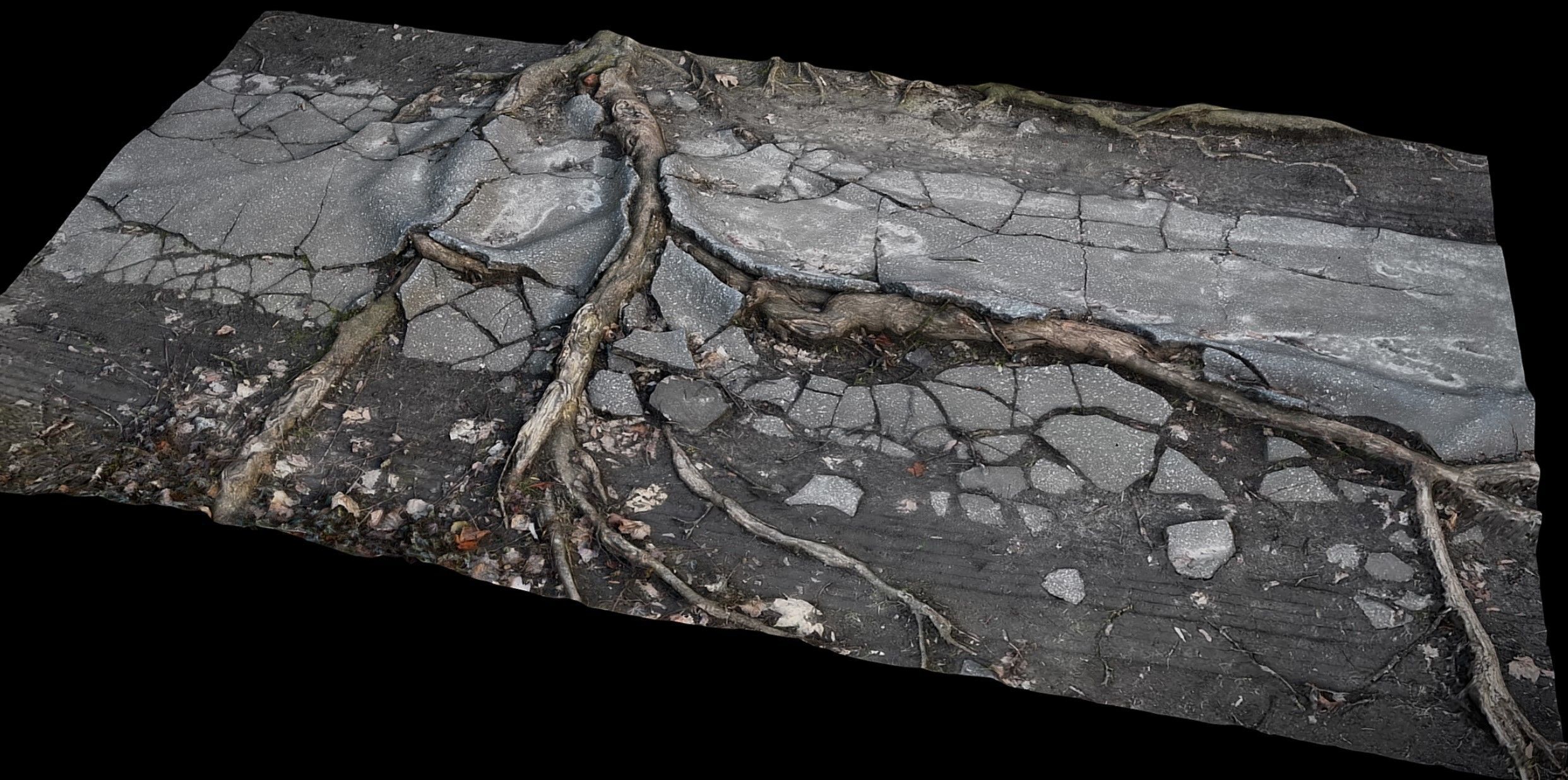 tree roots road asphalt debris part4 photogrammetry Low-poly 3D model_1
