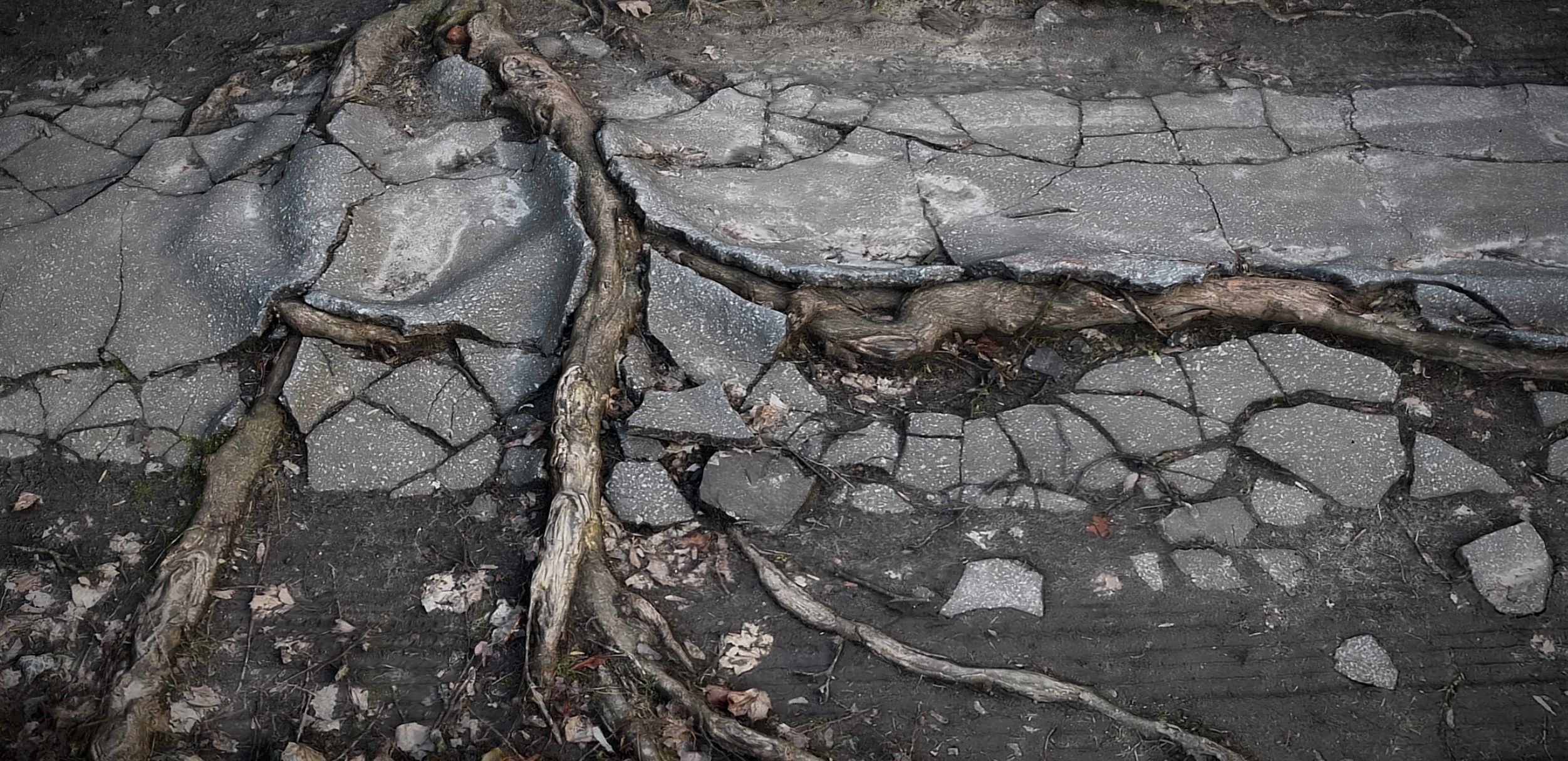tree roots road asphalt debris part4 photogrammetry Low-poly 3D model_2