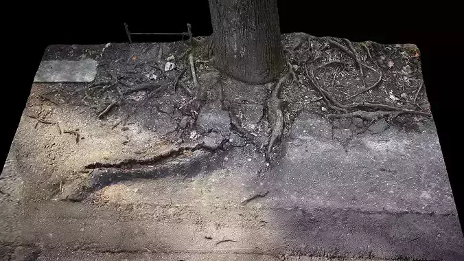 tree roots road asphalt debris part5 photogrammetry