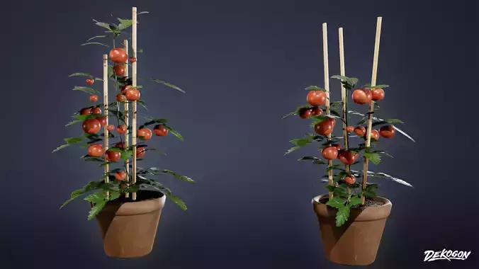 HIGH SCHOOL CLASSROOM - Plant 01 - LOW POLY