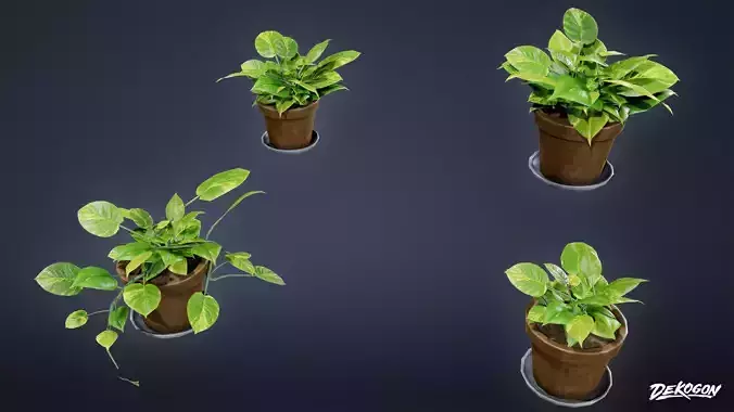 HIGH SCHOOL CLASSROOM - Plant 02 - LOW POLY