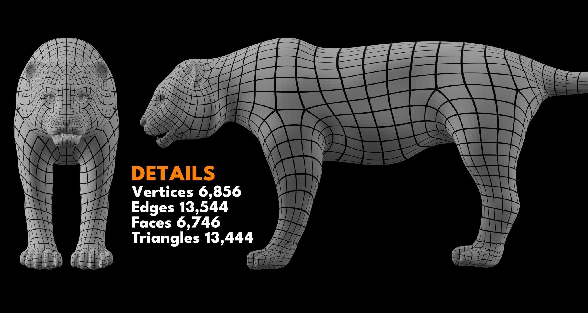 Animal Basemesh Pack - 13 base meshes 3D model_12