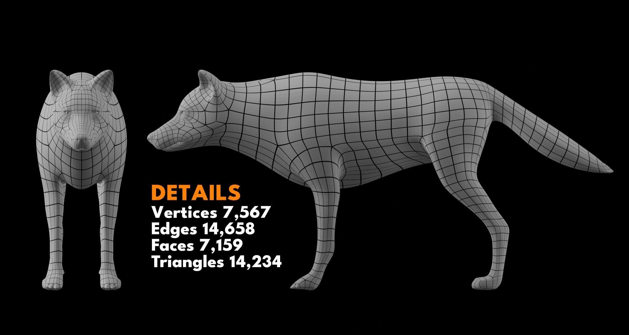Animal Basemesh Pack - 13 base meshes 3D model_13