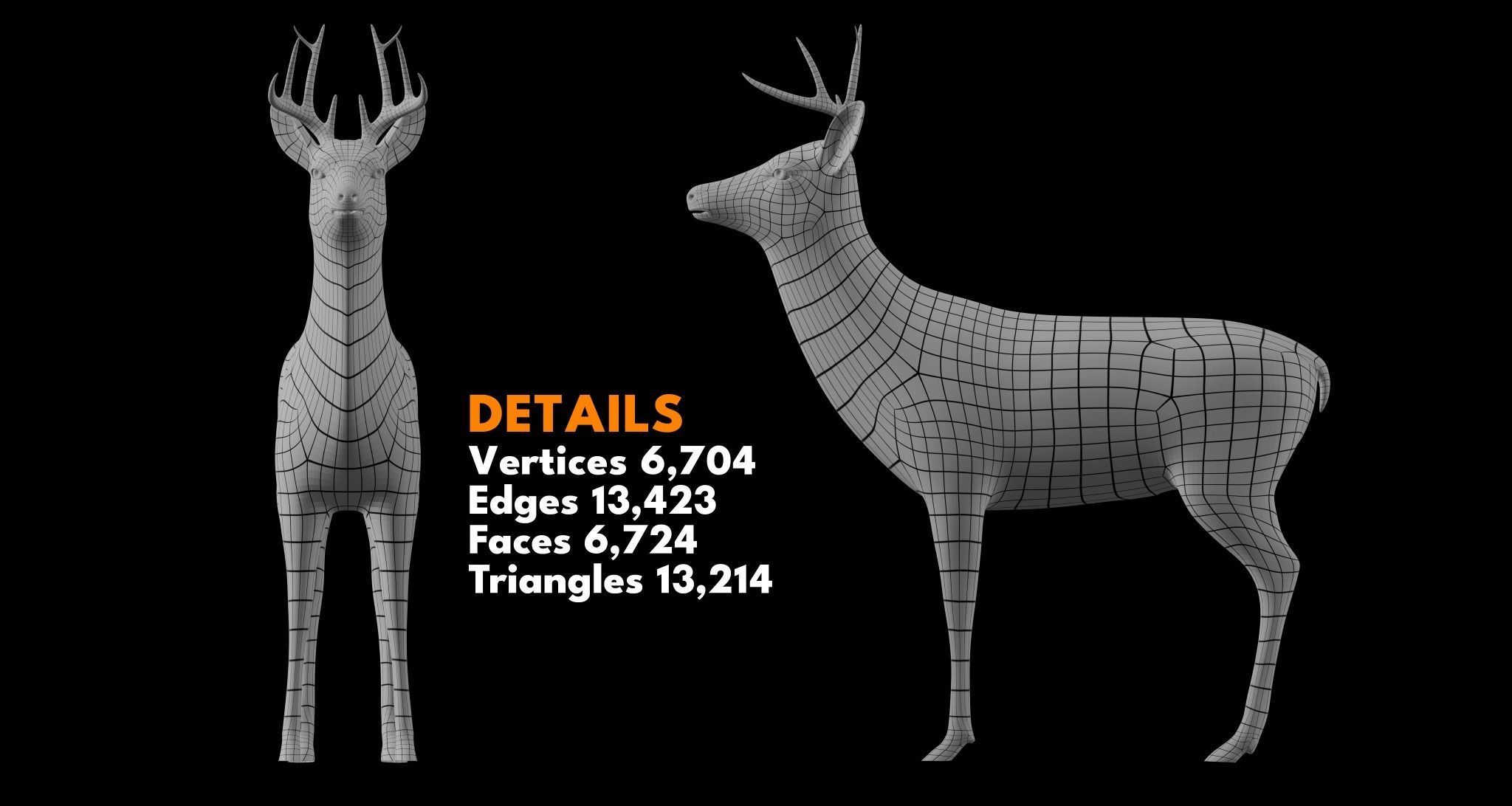 Animal Basemesh Pack - 13 base meshes 3D model_5