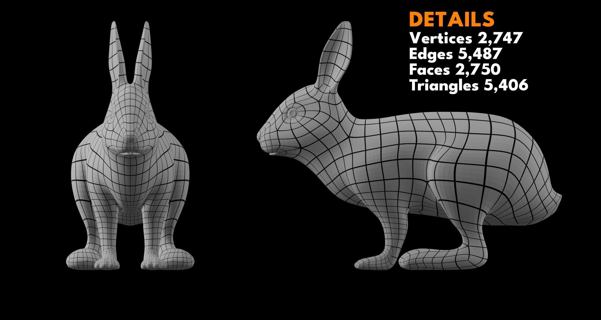 Animal Basemesh Pack - 13 base meshes 3D model_6