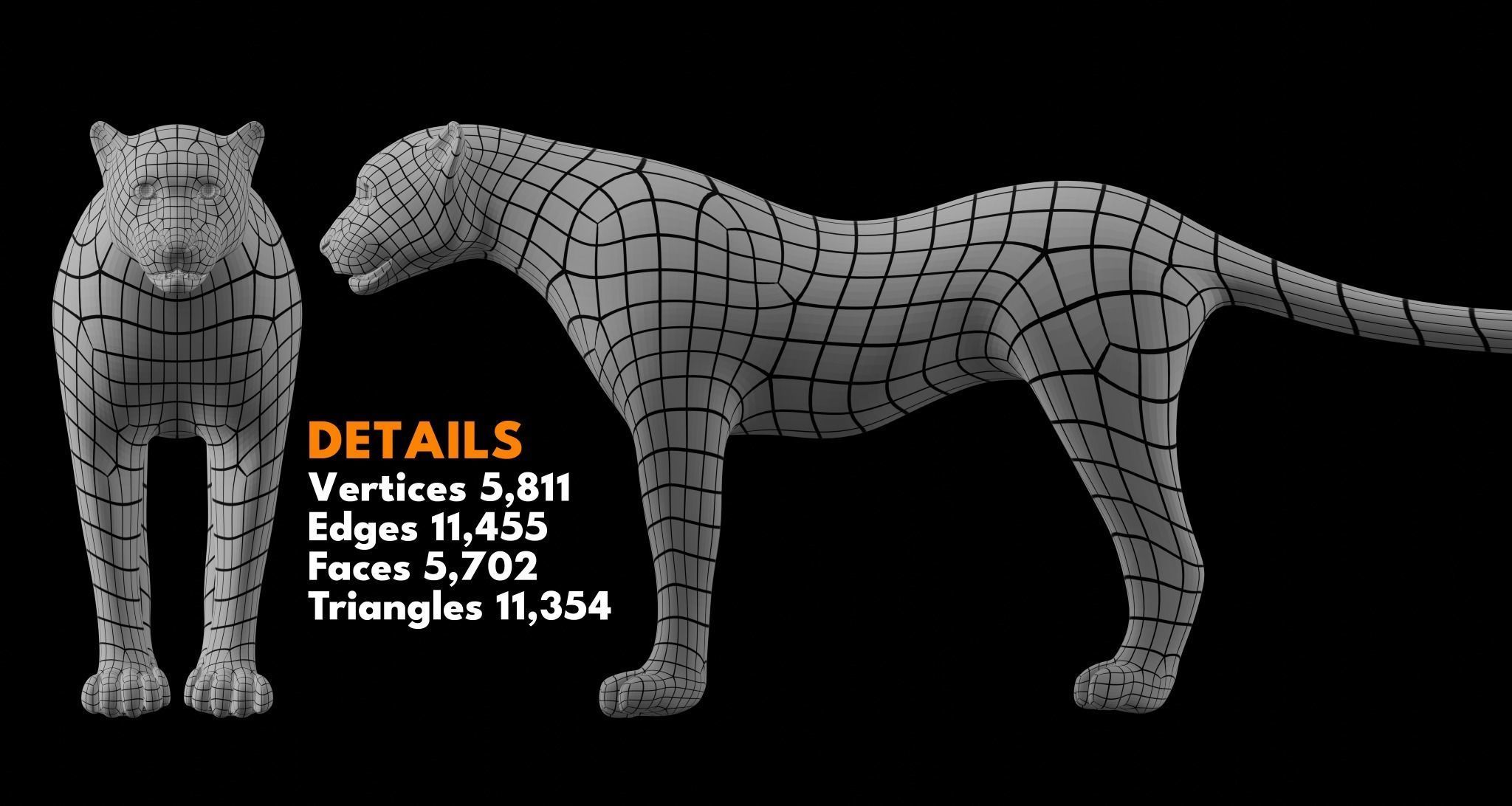 Animal Basemesh Pack - 13 base meshes 3D model_4