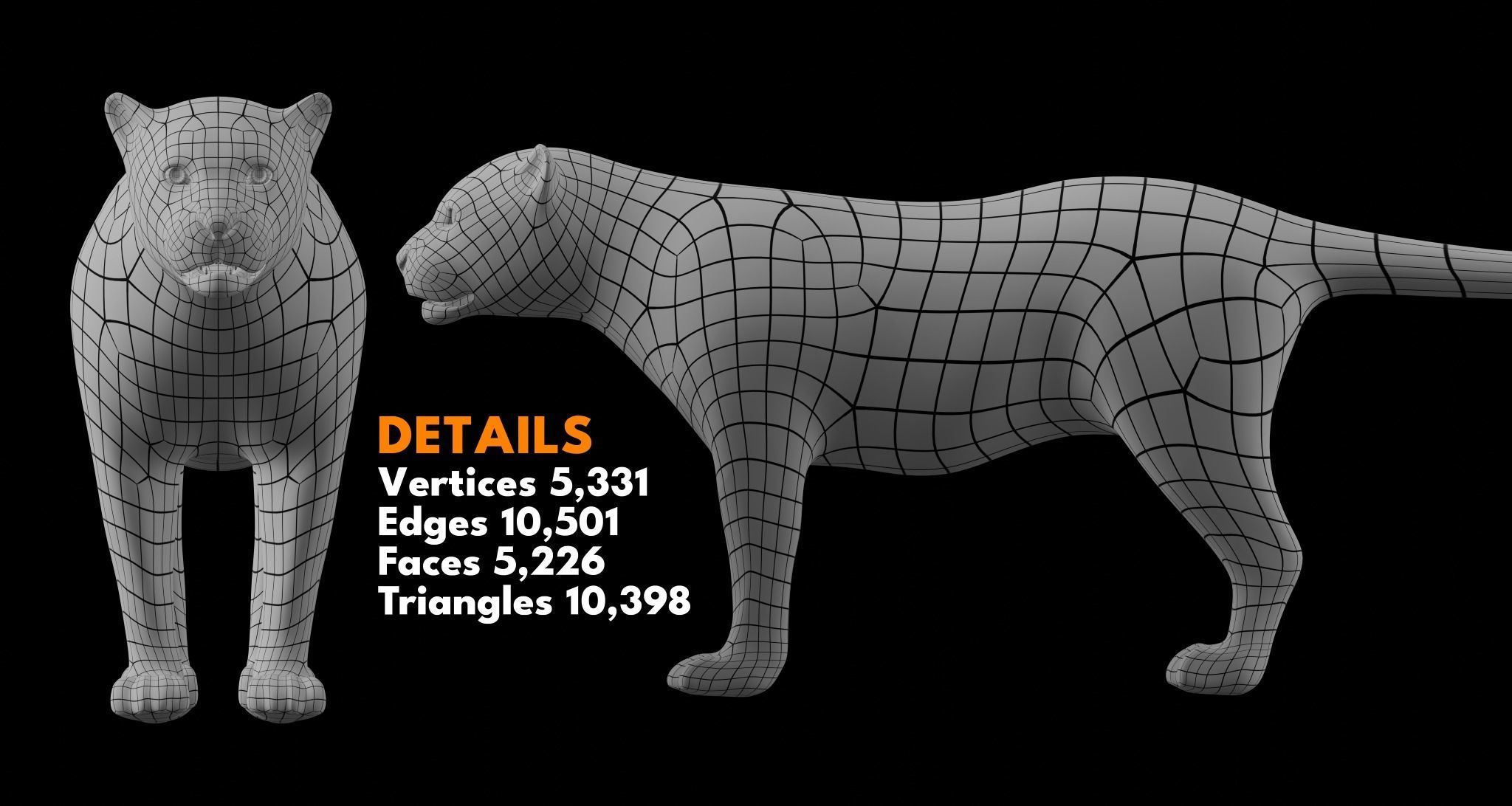 Animal Basemesh Pack - 13 base meshes 3D model_9