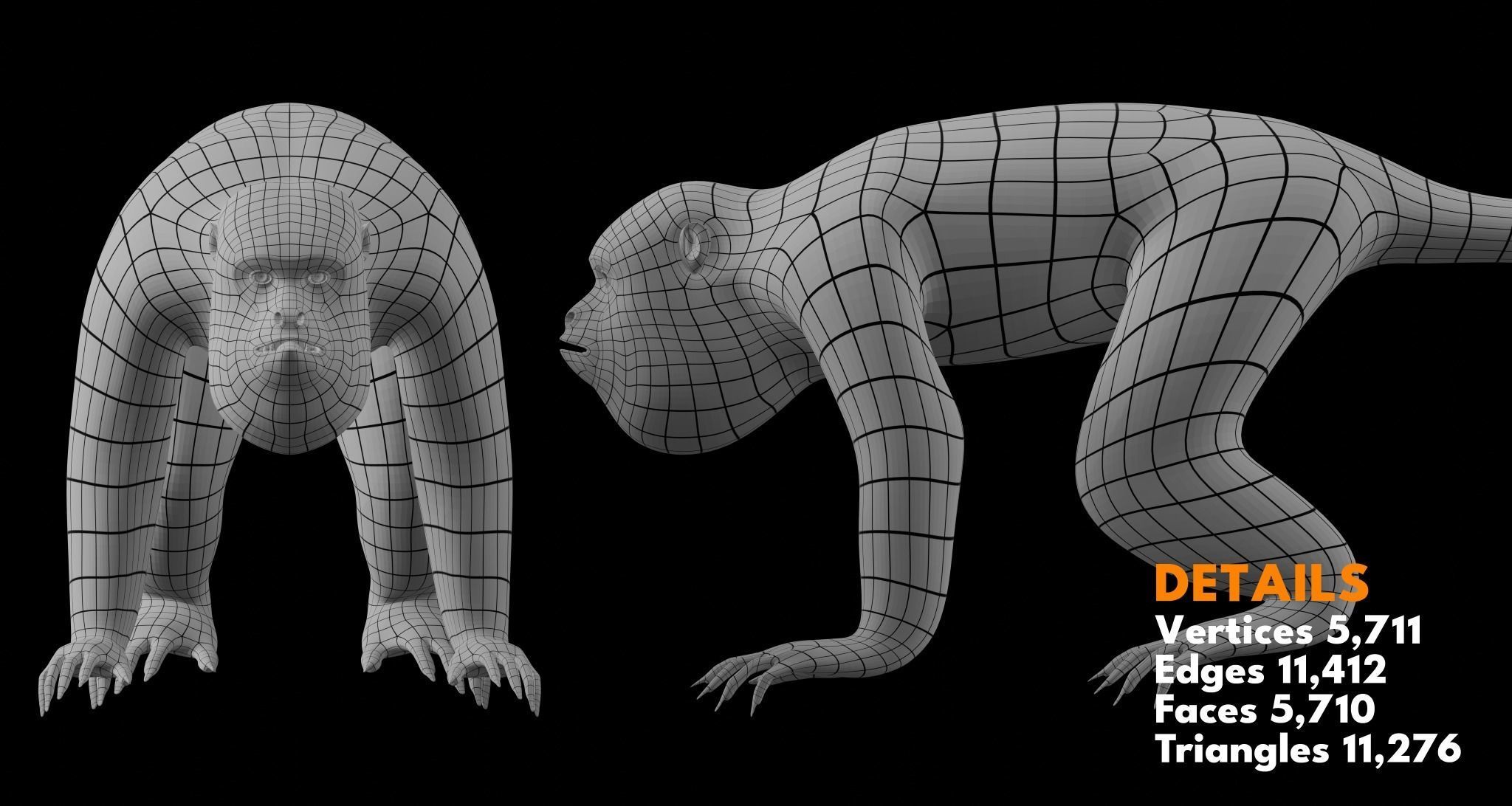 Animal Basemesh Pack - 13 base meshes 3D model_8