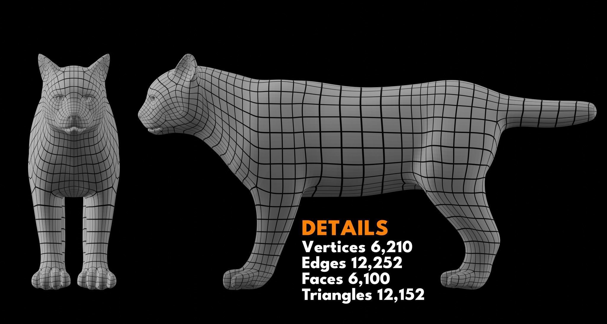 Animal Basemesh Pack - 13 base meshes 3D model_11