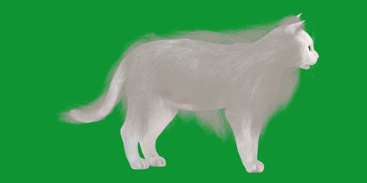 White House Cat Low-poly 3D model_39